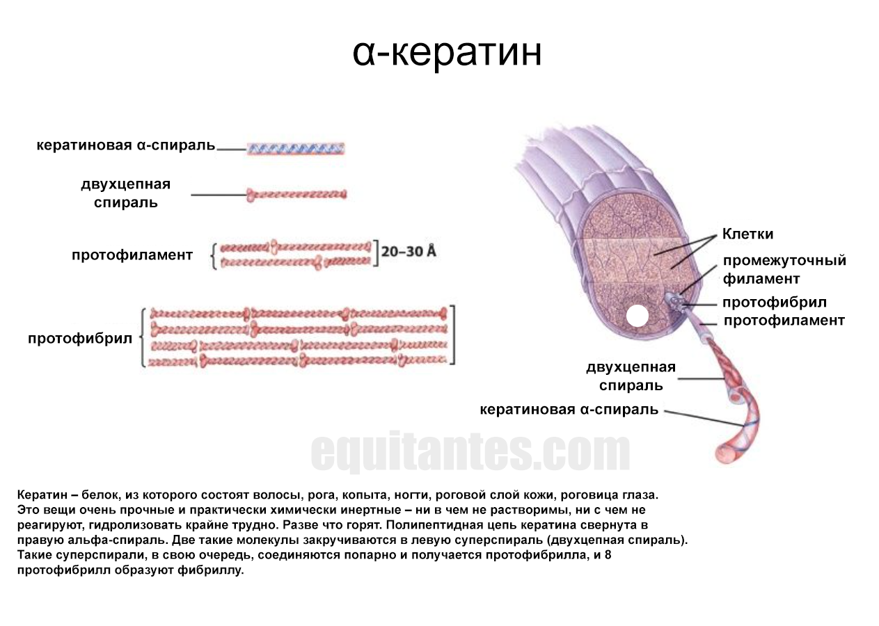 Чертеж кератином перчатка